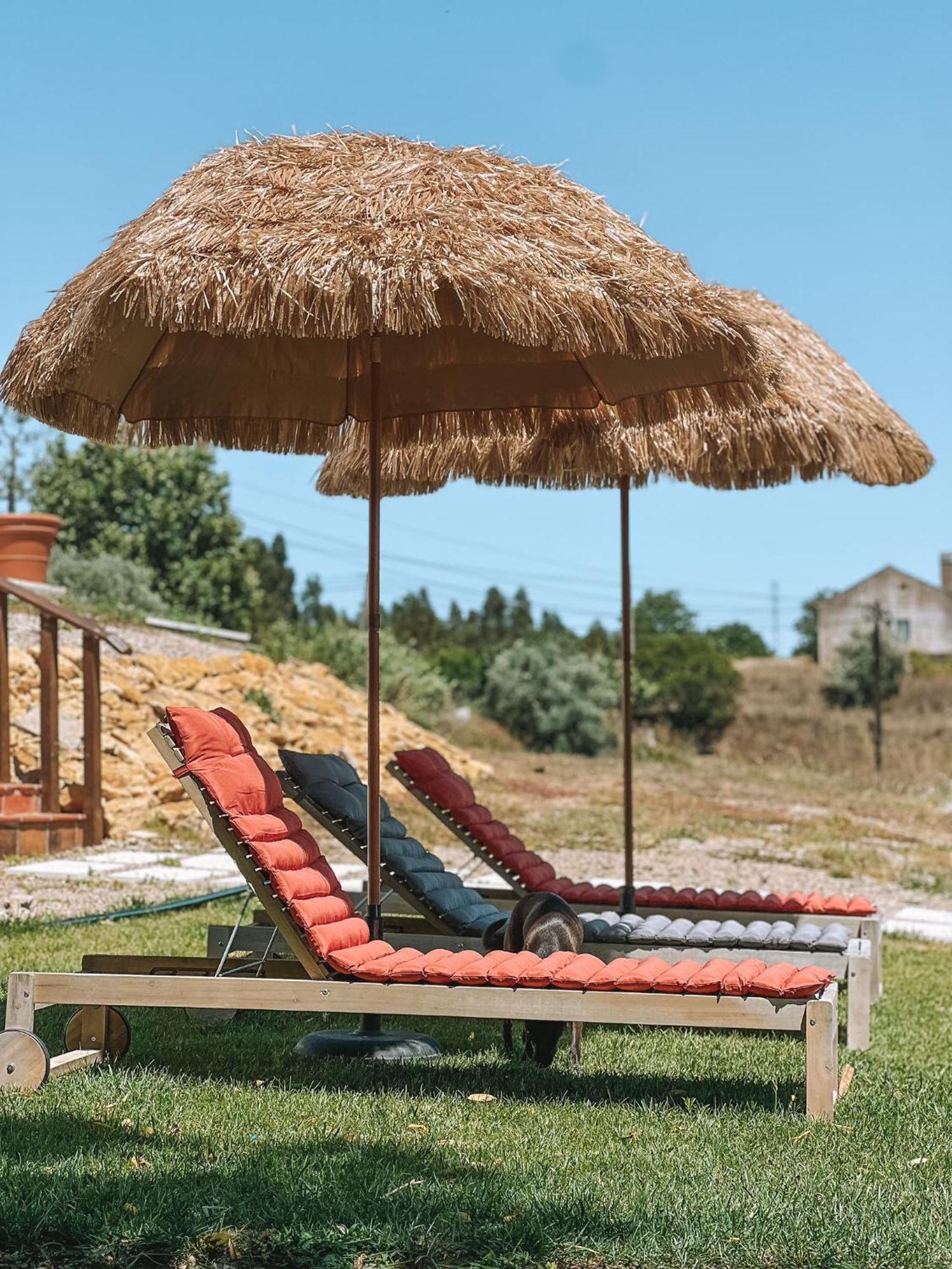 فيلا Quinta De Sao Pedro De تومار المظهر الخارجي الصورة